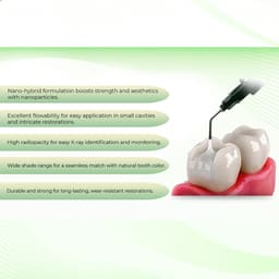 DentGist NanoCom Flowable Composite Refills 2g - 8