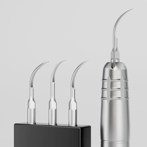Waldent Air Scaler
