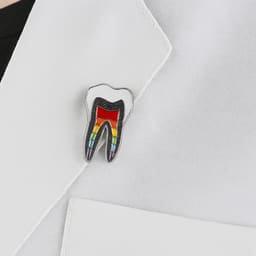 iDENTical Tooth Shape Brooch With Rainbow Nerve Design Pack Of 1 (ZYR-7412) - 3