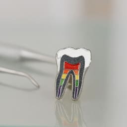 iDENTical Tooth Shape Brooch With Rainbow Nerve Design Pack Of 1 (ZYR-7412) - 4