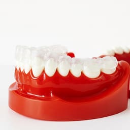 iDENTical Orthodontic Model With Transparent Retainer M3015 - 2