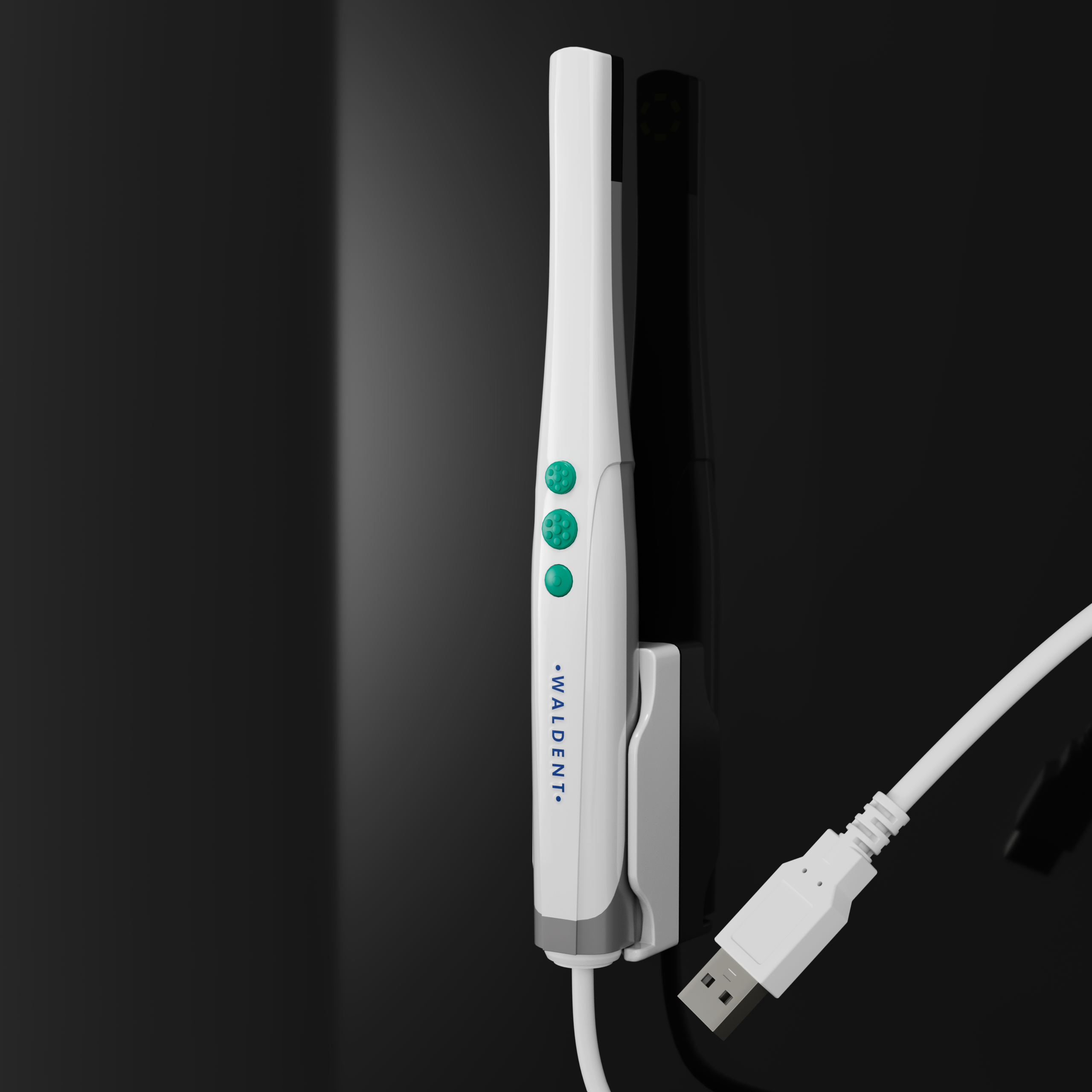 Waldent Intraoral Camera USB Model ( For Laptop )