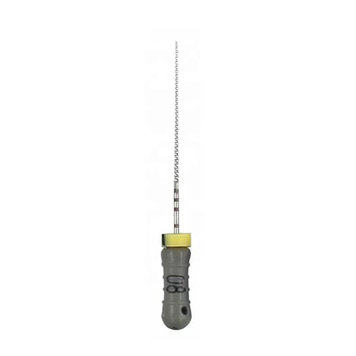 Dentsply C+ Ready Steel Endodontic Hand Files 21mm 