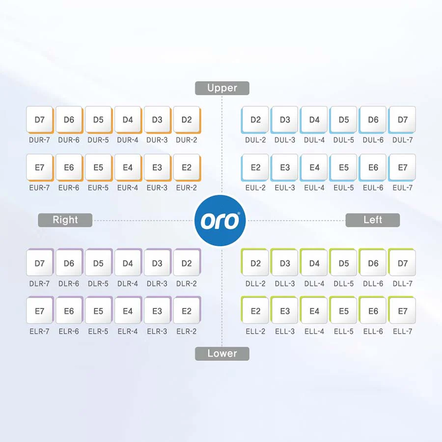 Oro SS Little Crown Primary Molar - D (1st Molar)