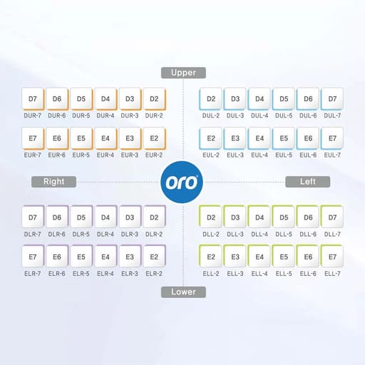 Oro SS Little Crown Primary Molar - E (2nd Molar) (Pack of 5)