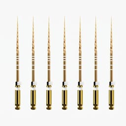 Dentsply Protaper Gold Rotary Files 25mm S2 (Pack of 6) - 2