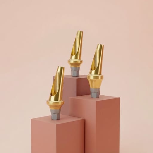 Dentaltech 17° Angular Abutments Regular - Osstem | Dentium | DIO | Cowellmedi | Neobiotech | Dentis Compatible
