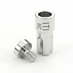 Dentaltech Digital Analog - Straumann BLT NC Implant Compatible