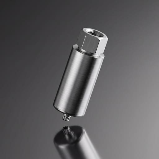 Dentaltech Premill Abutment Blank - Straumann BLX Implant Compatible (ITIBLX - TZ)