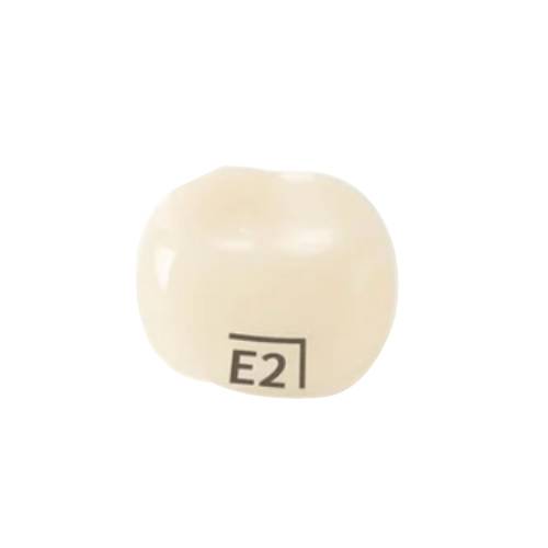 Pedo Crown Primary 2nd Lower Right Molar Refill - Size E2