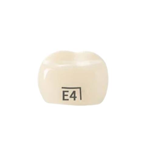 Pedo Crown Primary 2nd Lower Right Molar Refill - Size E4