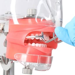 Waldent Vestibulum Lip & Cheek Retractors - 7