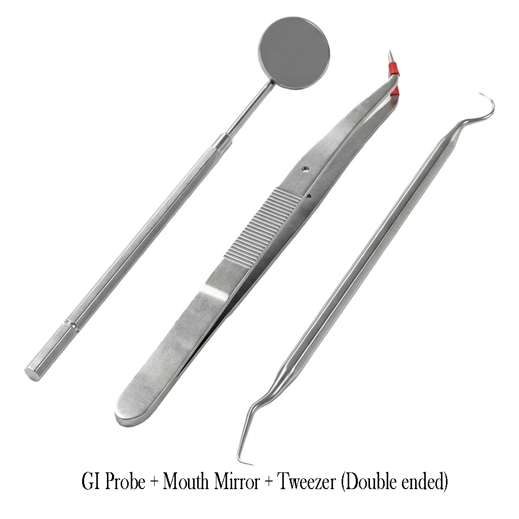 GI Probe + Mouth Mirror + Tweezer