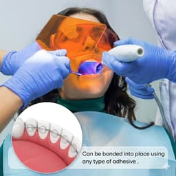 Ortho 