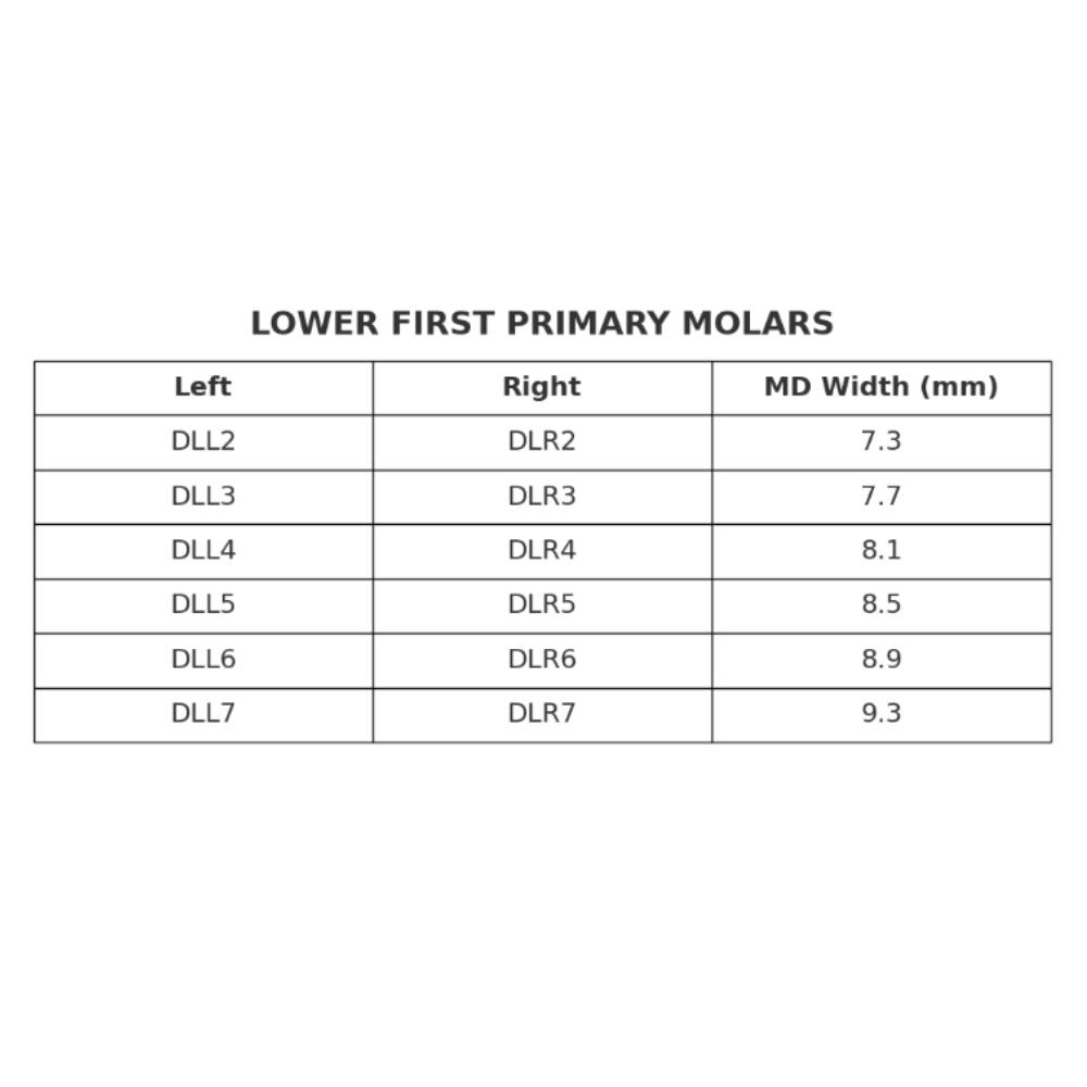 Kids-e-Crown Zirconia Lower Right 1st Molar Refills