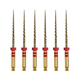 Waldent Wal-flex Gold Rotary Files 25mm - W6 (25/6%) (Pack Of 6)