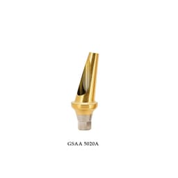 Dentaltech 17° Angular Abutments Regular ∅5.0mm X G/H2.0mm - Osstem | Dentium | DIO | Cowellmedi | Neobiotech | Dentis Compatible (GSAA 5020A)