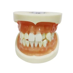 iDENTical Extraction Training Model M8016 - 2