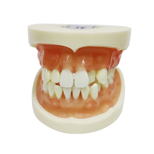 iDENTical Extraction Training Model M8016