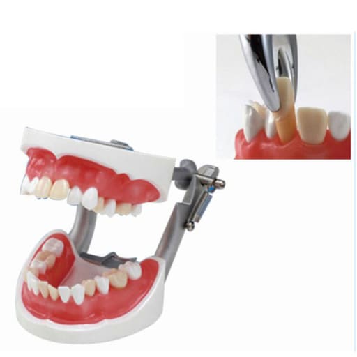iDENTical Extraction Training Model M8016