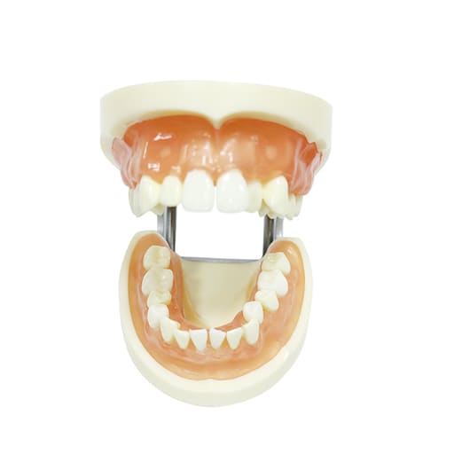 iDENTical Extraction Training Model M8016