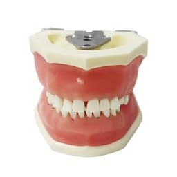 iDENTical Periodontal Practice Model M4027 - 7