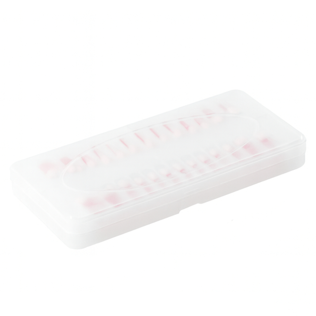 iDENTical Root Canal (RCT) Practice Tooth Model - Set Of 28 M8007 