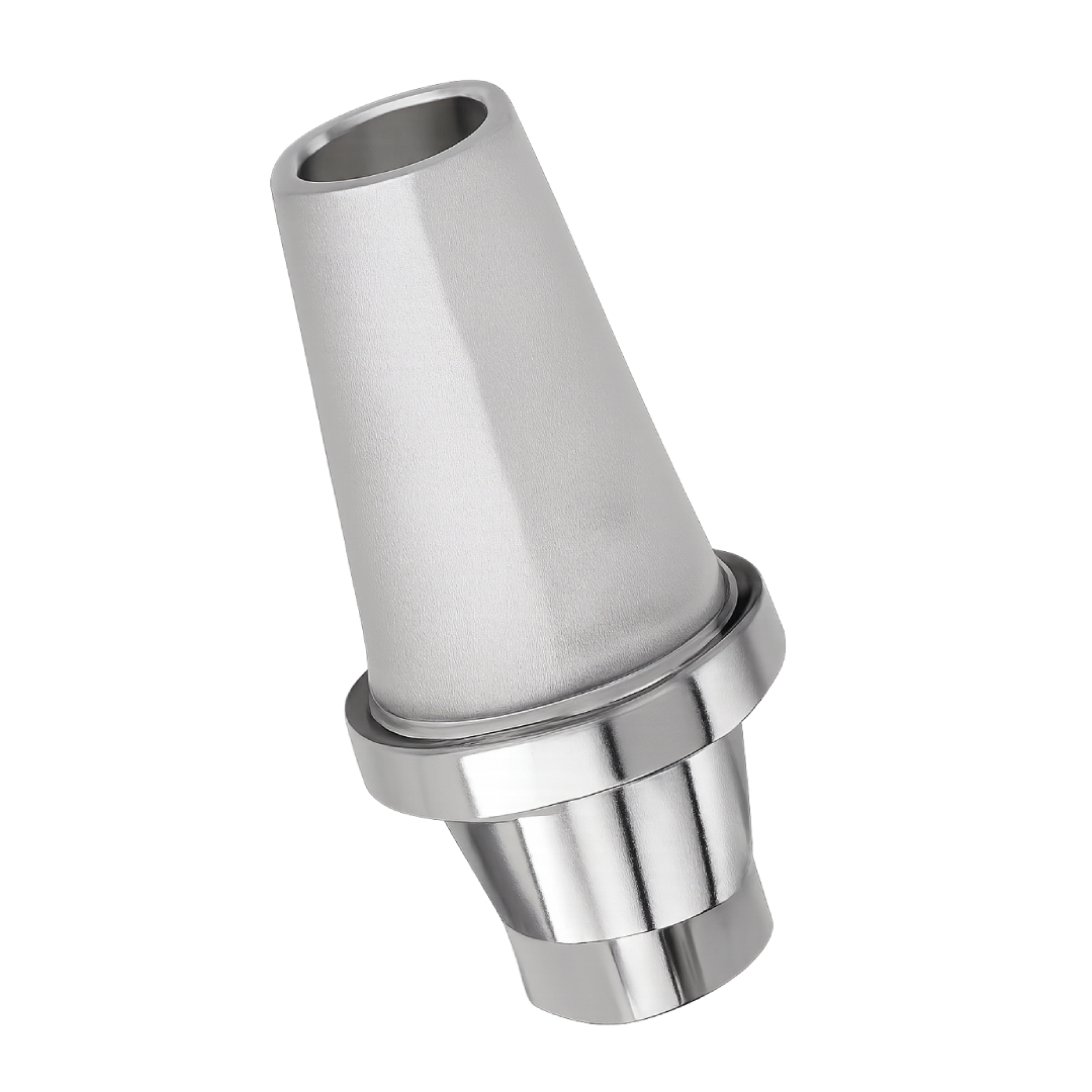 Dentaltech Straight Abutments - Nobel Biocare RP Implant Compatible