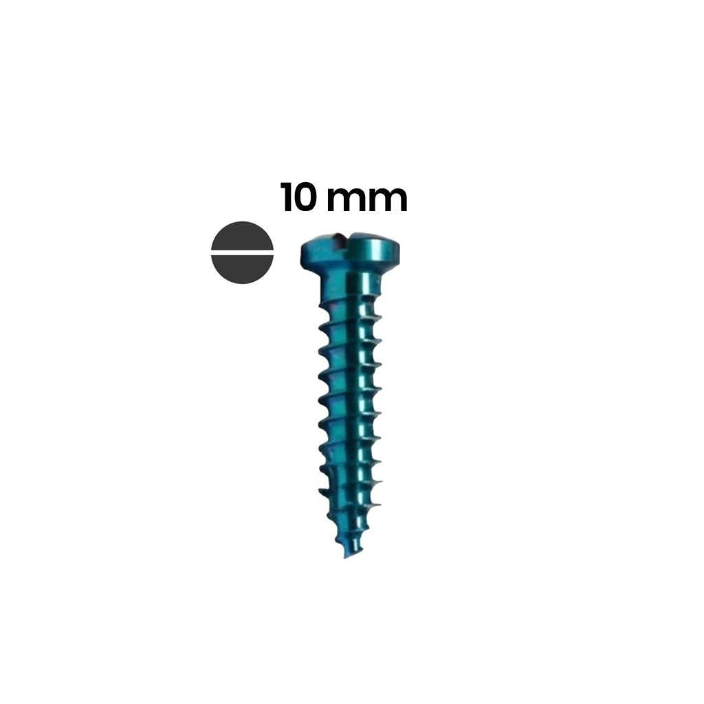SK Surgicals Titanium Single Slot Screws - 2.5mm x 10mm (25010T)