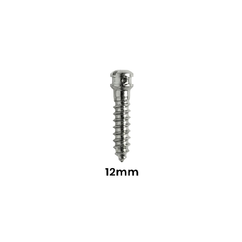 SK Surgicals SS IMF Screws - 2.5mm x 12mm (25012SI)