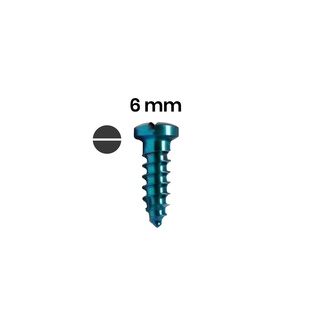 SK Surgicals Titanium Single Slot Screws - 2.5mm x 6mm (2506T)