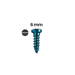 SK Surgicals Titanium Single Slot Screws - 2.5mm x 6mm (2506T) (Pack of 5 )