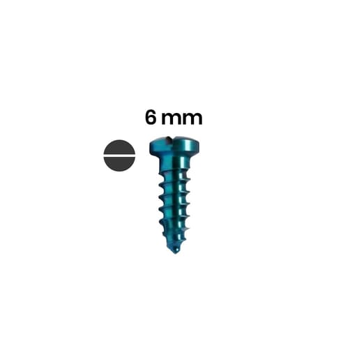 SK Surgicals Titanium Single Slot Screws - 2.5mm x 6mm (2506T) (Pack of 5 )