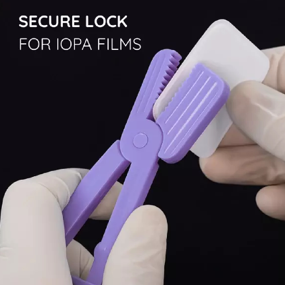 Oro X - Ray Film Holder (Pack of 4)