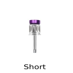 Dentaltech Prosthetic Hex Driver Short - Straumann Implant Compatible