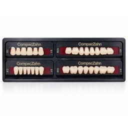 Rubydent CompacZahn Acrylic Denture natural shade Teeth A1- E1-K3-M2 (Set of 28) (2 layered)