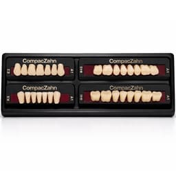 Rubydent CompacZahn Acrylic Denture natural shade Teeth A1- E2-K5-M4 (Set of 28) (2 layered)