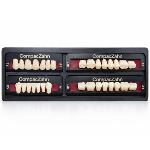 Rubydent CompacZahn Acrylic Denture natural shade Teeth A1- F2-K5-M2 (Set of 28) (2 layered)