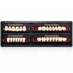 Rubydent CompacZahn Acrylic Denture natural shade Teeth A1- G4-K8-M4 (Set of 28) (2 layered)