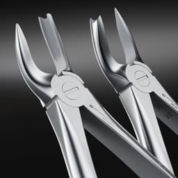 Waldent Extraction Forceps Kit Set of 12 (K1/1)      - 8