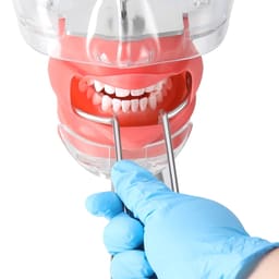Waldent Vestibulum Lip & Cheek Retractors - 8