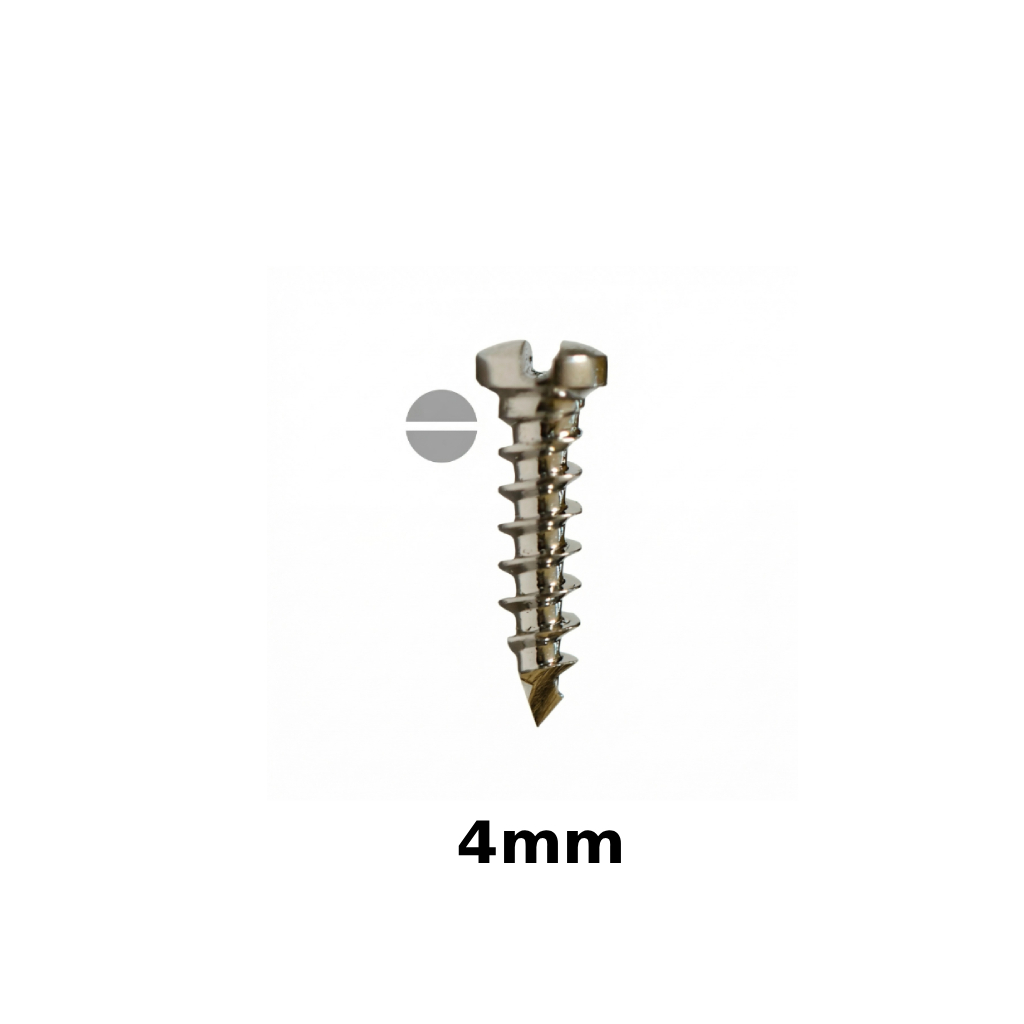 SK Surgicals SS Single Slot Screws - 2mm x 4mm (2004S)