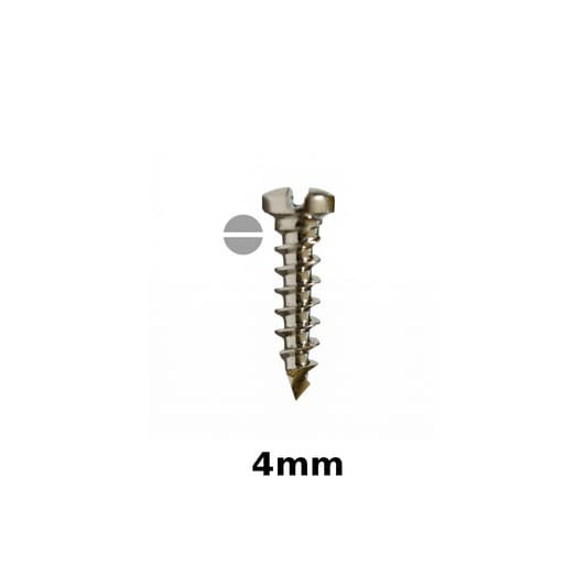 SK Surgicals SS Single Slot Screws - 2mm x 4mm (2004S) (Pack of 5 )