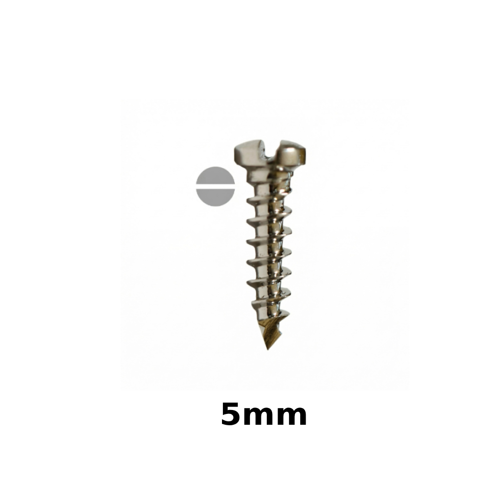 SK Surgicals SS Single Slot Screws - 2mm x 5mm (2005S)