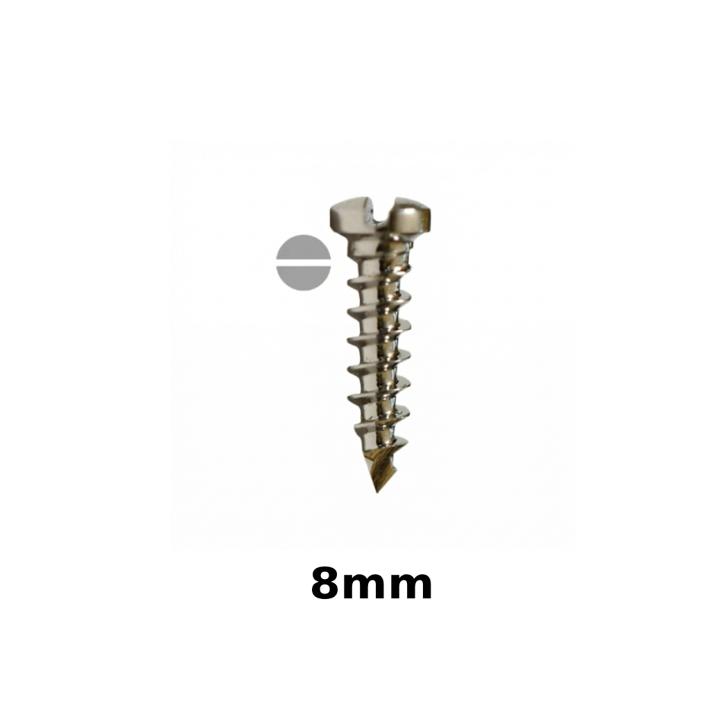 SK Surgicals SS Single Slot Screws - 2mm x 8mm (2008S)
