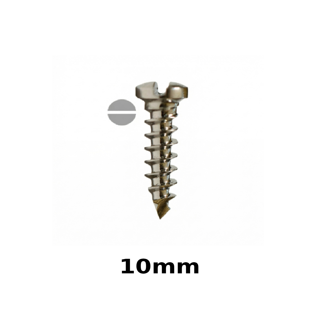 SK Surgicals SS Single Slot Screws - 2mm x 10mm (20010S)