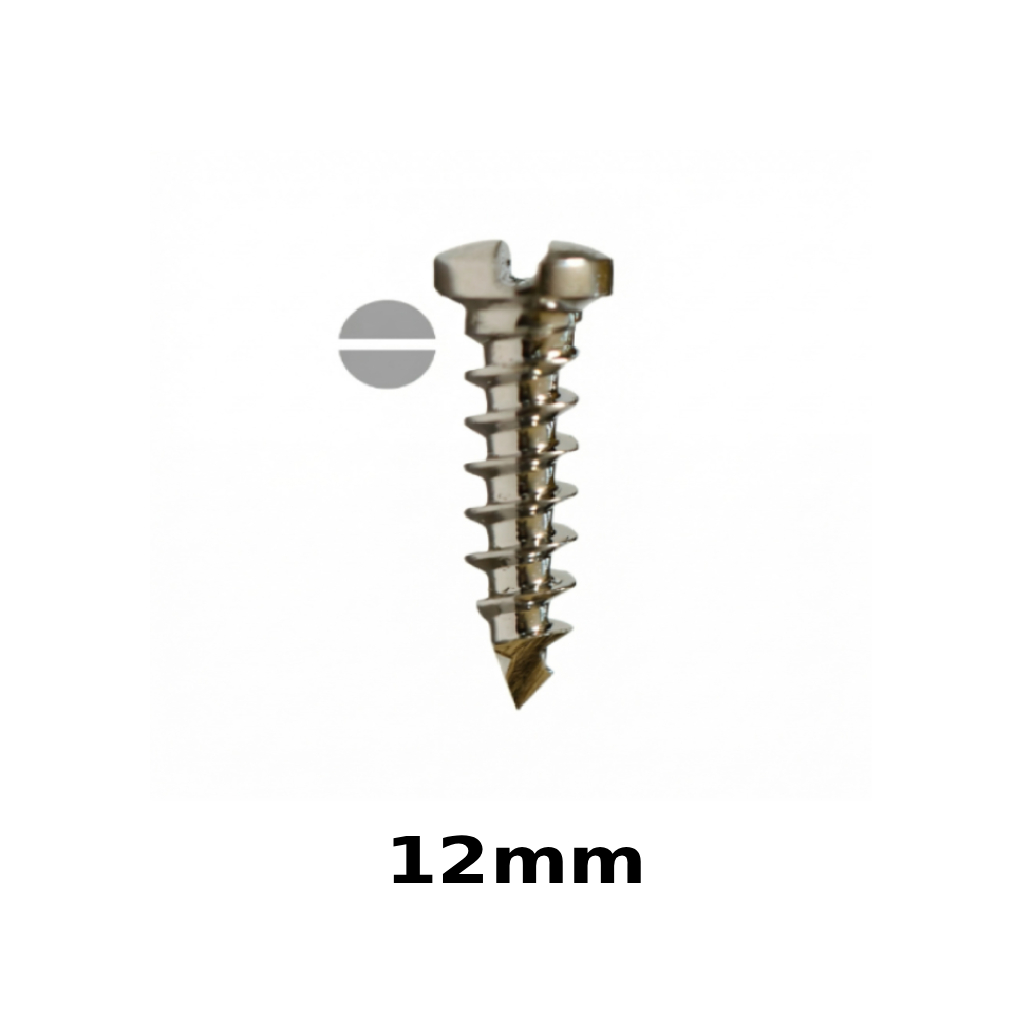 SK Surgicals SS Single Slot Screws - 2mm x 12mm (20012S)