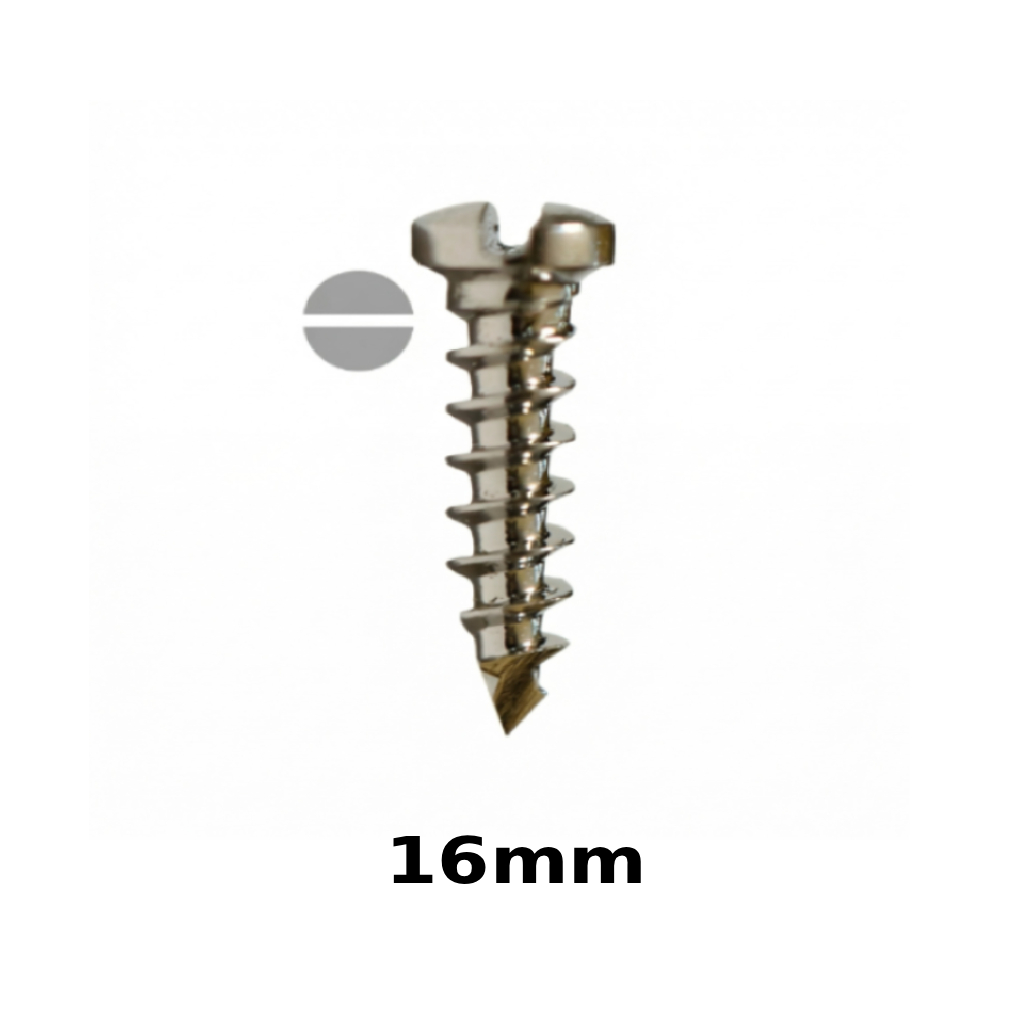 SK Surgicals SS Single Slot Screws - 2mm x 16mm (20016S)