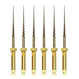 SuperEndo Super Gold Flex Rotary Files F1 25mm