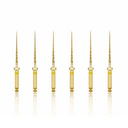SuperEndo Super Gold Flex Rotary Files F1 21mm